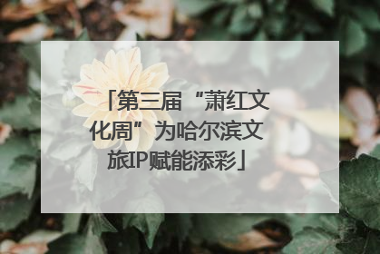 第三届“萧红文化周”为哈尔滨文旅IP赋能添彩