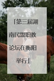 第三届湖南民盟职教论坛在衡阳举行