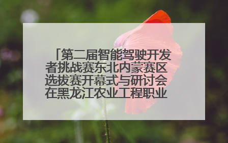 第二届智能驾驶开发者挑战赛东北内蒙赛区选拔赛开幕式与研讨会在黑龙江农业工程职业学院成功举行