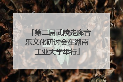 第二届武陵走廊音乐文化研讨会在湖南工业大学举行