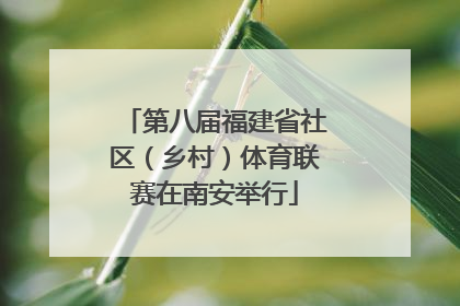 第八届福建省社区（乡村）体育联赛在南安举行