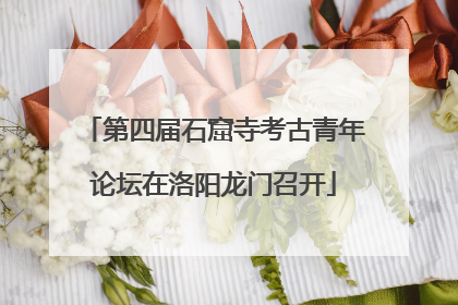 第四届石窟寺考古青年论坛在洛阳龙门召开