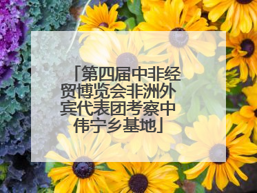 第四届中非经贸博览会非洲外宾代表团考察中伟宁乡基地