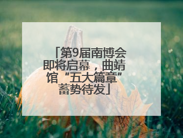 第9届南博会即将启幕，曲靖馆“五大篇章”蓄势待发