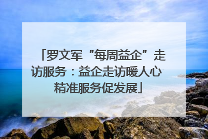 罗文军“每周益企”走访服务：益企走访暖人心 精准服务促发展