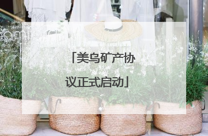 美乌矿产协议正式启动