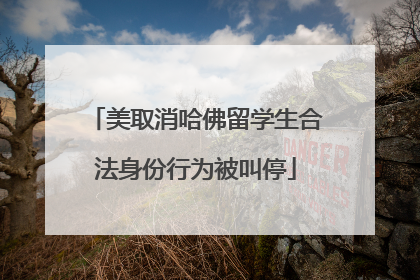 美取消哈佛留学生合法身份行为被叫停