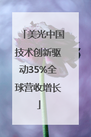 美光中国技术创新驱动35%全球营收增长