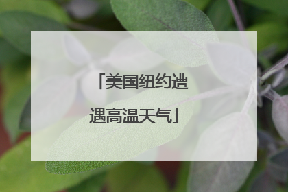 美国纽约遭遇高温天气