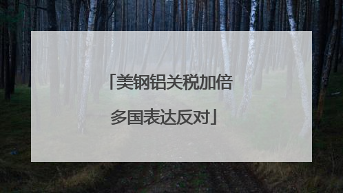 美钢铝关税加倍 多国表达反对