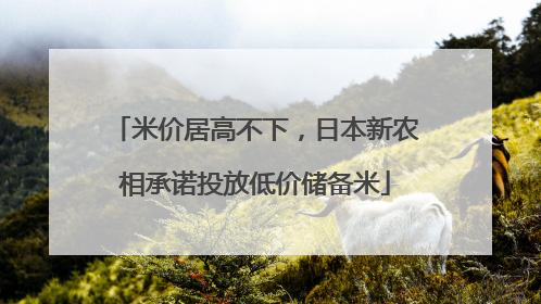 米价居高不下，日本新农相承诺投放低价储备米