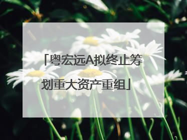 粤宏远A拟终止筹划重大资产重组
