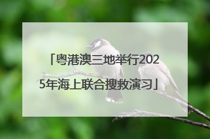 粤港澳三地举行2025年海上联合搜救演习