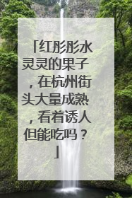 红彤彤水灵灵的果子，在杭州街头大量成熟，看着诱人但能吃吗？