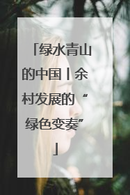 绿水青山的中国丨余村发展的“绿色变奏”