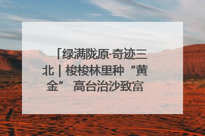 绿满陇原·奇迹三北｜梭梭林里种“黄金” 高台治沙致富很“从容”