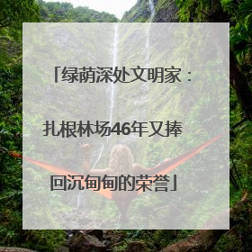 绿荫深处文明家：扎根林场46年又捧回沉甸甸的荣誉