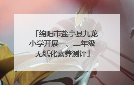 绵阳市盐亭县九龙小学开展一、二年级无纸化素养测评