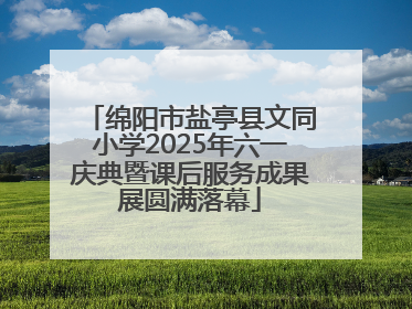绵阳市盐亭县文同小学2025年六一庆典暨课后服务成果展圆满落幕