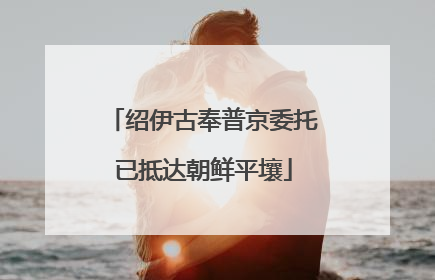 绍伊古奉普京委托已抵达朝鲜平壤
