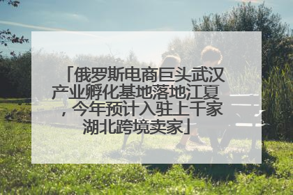 俄罗斯电商巨头武汉产业孵化基地落地江夏，今年预计入驻上千家湖北跨境卖家