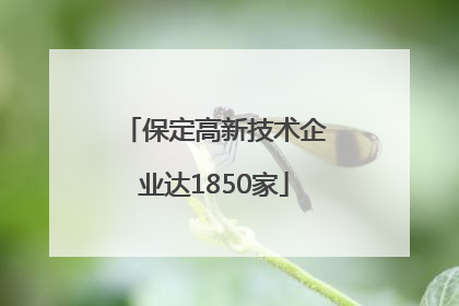 保定高新技术企业达1850家