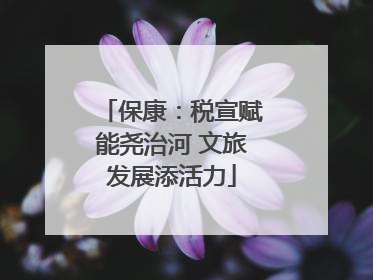 保康：税宣赋能尧治河 文旅发展添活力