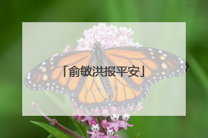 俞敏洪报平安