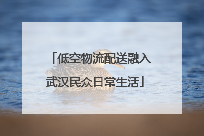 低空物流配送融入武汉民众日常生活