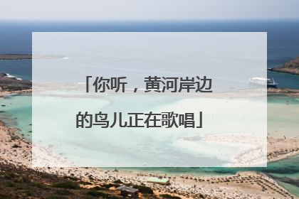 你听，黄河岸边的鸟儿正在歌唱