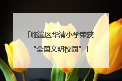 临潼区华清小学荣获“全国文明校园”