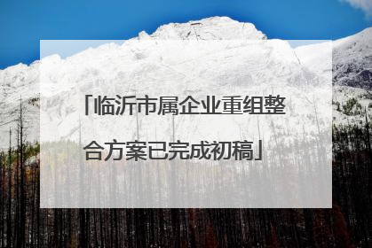 临沂市属企业重组整合方案已完成初稿