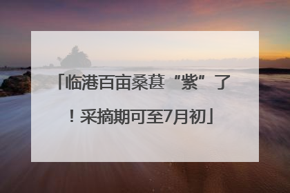临港百亩桑葚“紫”了！采摘期可至7月初