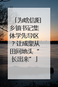为啥信阳乡镇书记集体学先导区？让成果从田间地头“长出来”