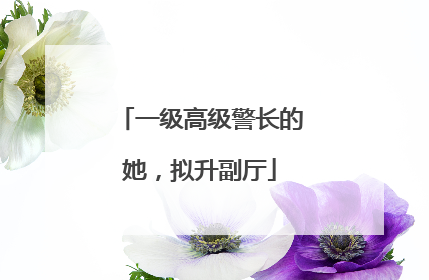 一级高级警长的她，拟升副厅