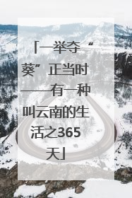 一举夺“葵”正当时——有一种叫云南的生活之365天