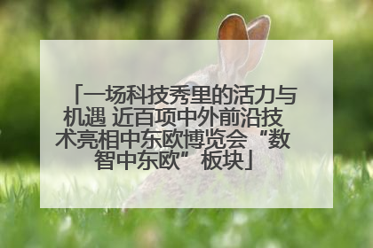 一场科技秀里的活力与机遇 近百项中外前沿技术亮相中东欧博览会“数智中东欧”板块
