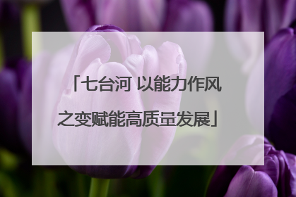 七台河 以能力作风之变赋能高质量发展