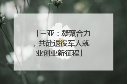 三亚：凝聚合力，共赴退役军人就业创业新征程
