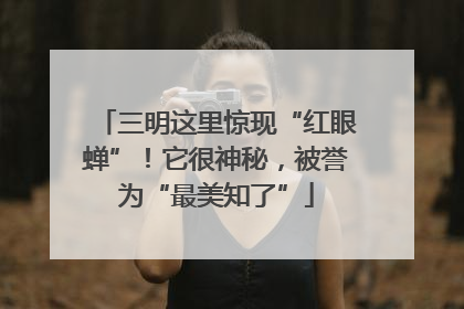三明这里惊现“红眼蝉”！它很神秘，被誉为“最美知了”