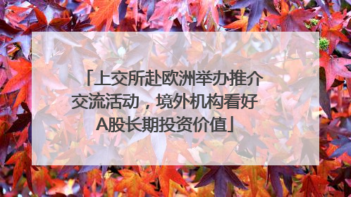 上交所赴欧洲举办推介交流活动，境外机构看好A股长期投资价值