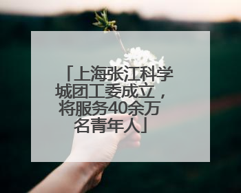 上海张江科学城团工委成立，将服务40余万名青年人