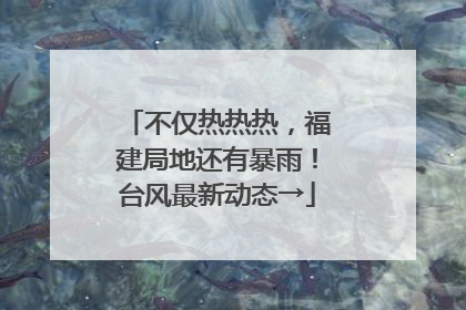 不仅热热热，福建局地还有暴雨！台风最新动态→