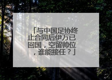 与中国足协终止合同后伊万已回国，空留帅位，谁能接任？