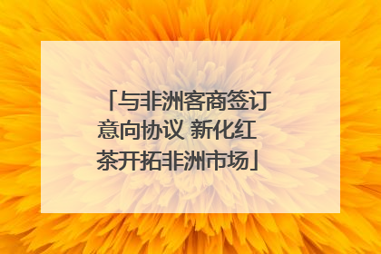 与非洲客商签订意向协议 新化红茶开拓非洲市场