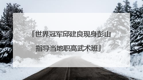 世界冠军邱建良现身彭山 指导当地职高武术班