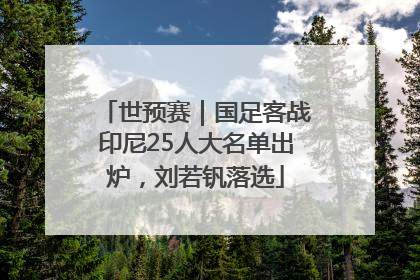世预赛｜国足客战印尼25人大名单出炉，刘若钒落选