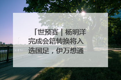 世预赛｜杨明洋完成会籍转换将入选国足，伊万想通了要打双后腰？