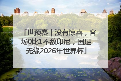 世预赛｜没有惊喜，客场0比1不敌印尼，国足无缘2026年世界杯