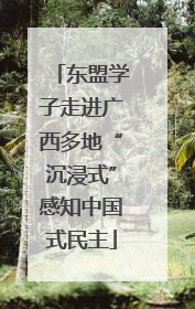 东盟学子走进广西多地“沉浸式”感知中国式民主